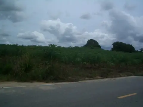 Land in Pattaya, Thailand — ภาพ 3