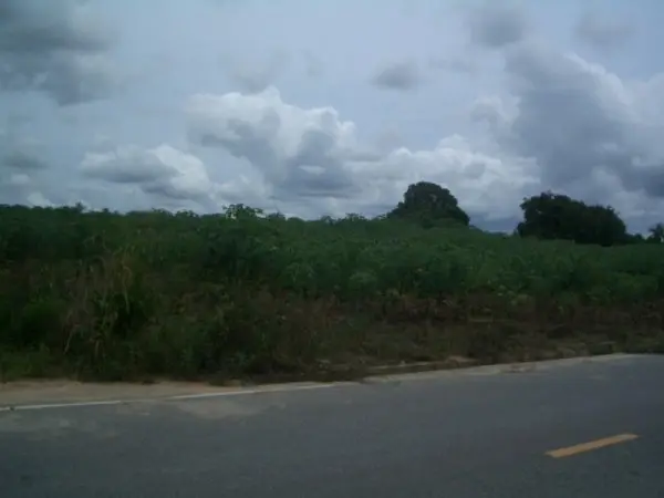 Land in Pattaya, Thailand — ภาพ 3