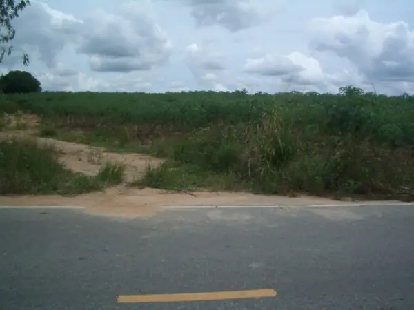 Land in Pattaya, Thailand — ภาพ 5