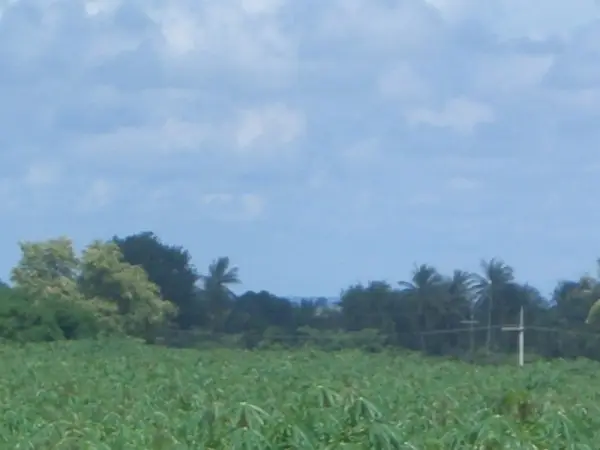 Land in Pattaya, Thailand — ภาพ 4