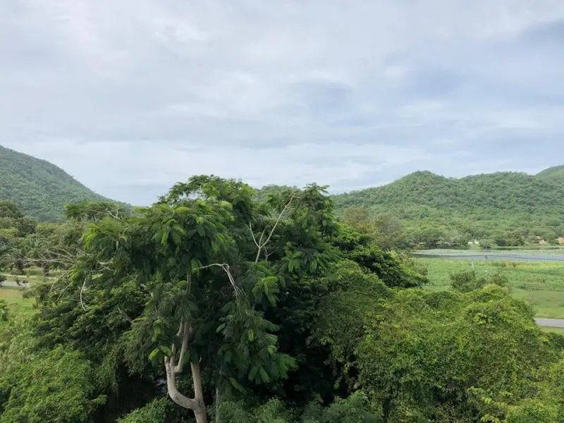 Land in Bang Sare, Thailand — photo 8