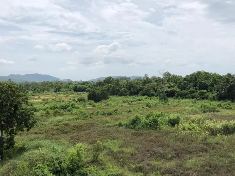Land in Bang Sare, Thailand — photo 9