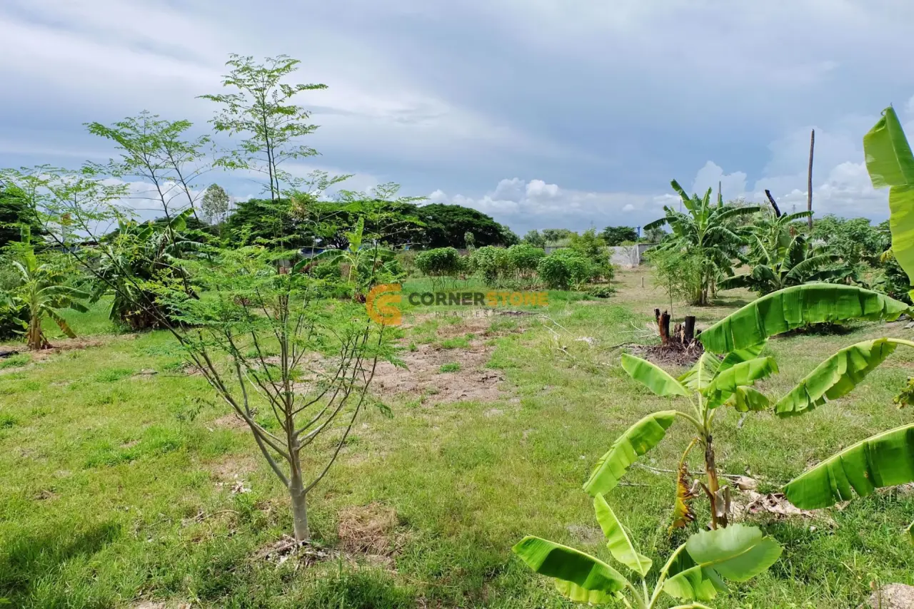 Land in Chonburi, Thailand — photo 2