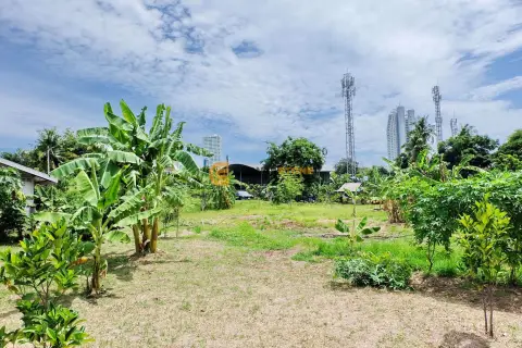 Land in Chonburi, Thailand — photo 3
