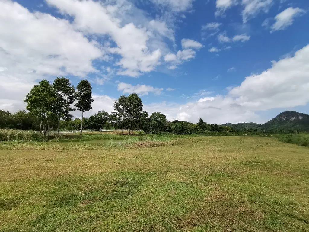 Land in Pattaya, Thailand — photo 2