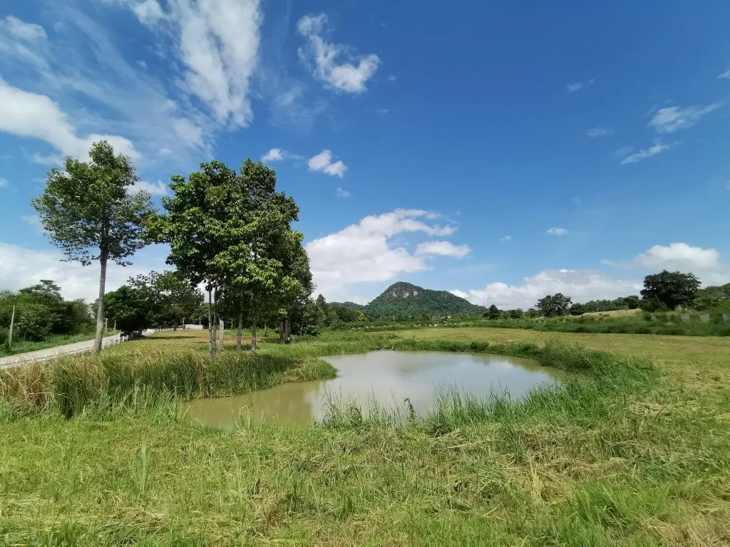 Land in Pattaya, Thailand — photo 3