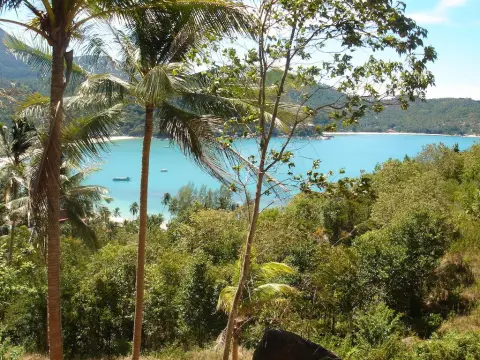 Land in Koh Pha Ngan, Thailand 8000 sq.m. — ภาพ 3