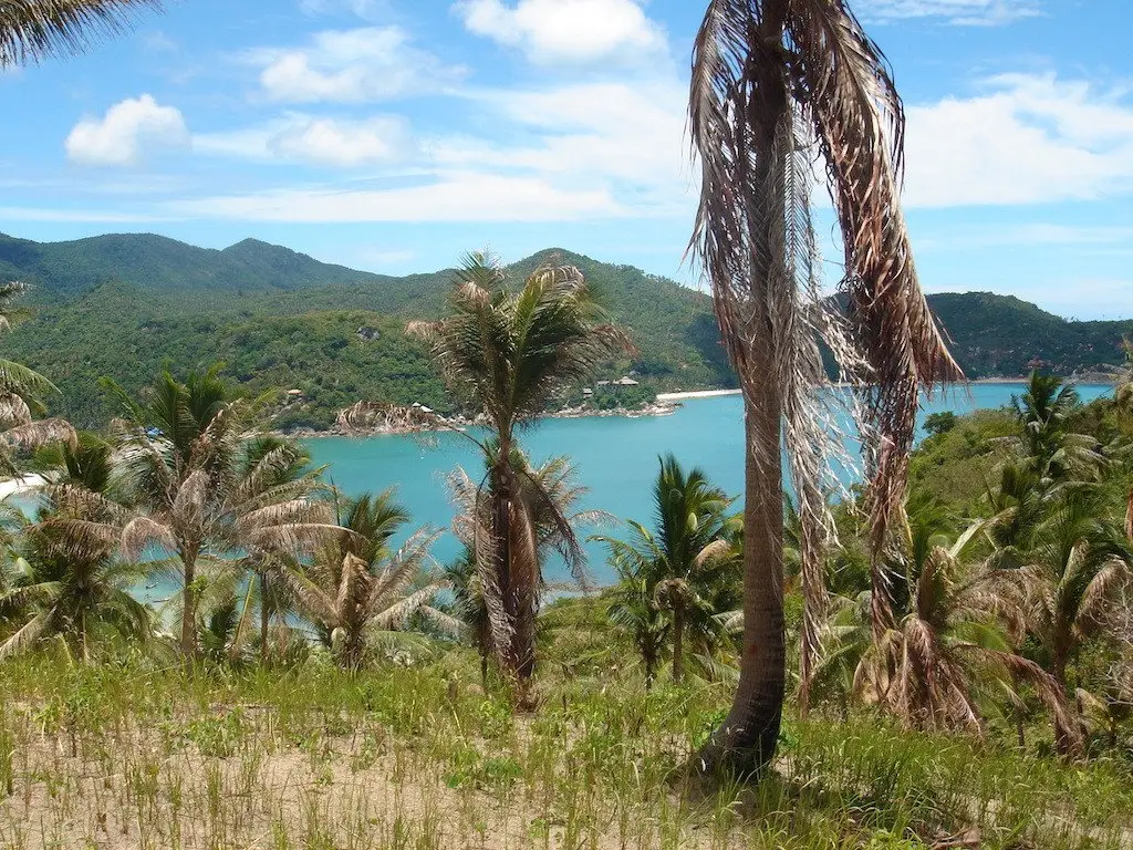 Land in Koh Pha Ngan, Thailand 8000 sq.m. — ภาพ 2
