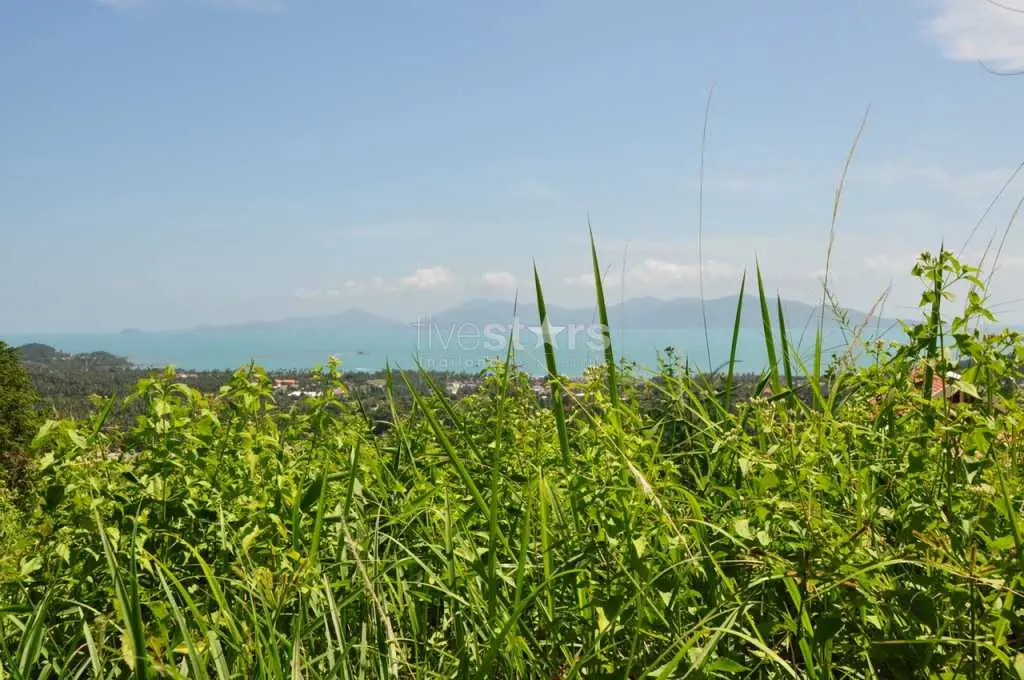 Land in Ko Samui, Thailand — photo 3