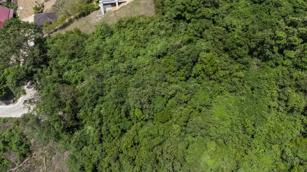 Land in Ko Samui, Thailand 719 sq.m. — photo 4