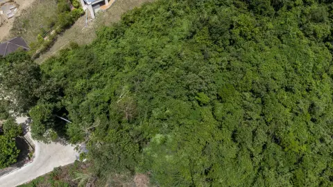Land in Ko Samui, Thailand 719 sq.m. — photo 5
