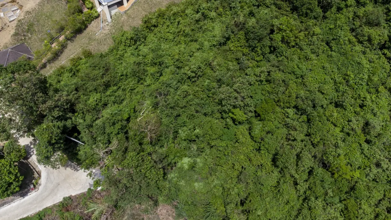 Land in Ko Samui, Thailand 719 sq.m. — photo 5