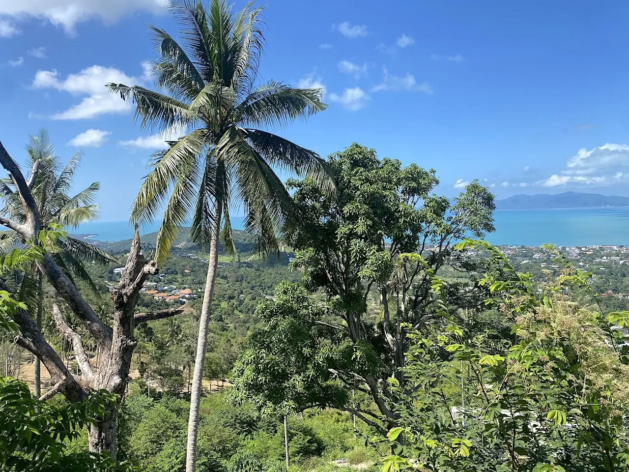 Land in Ko Samui, Thailand 1600 sq.m. — photo 4