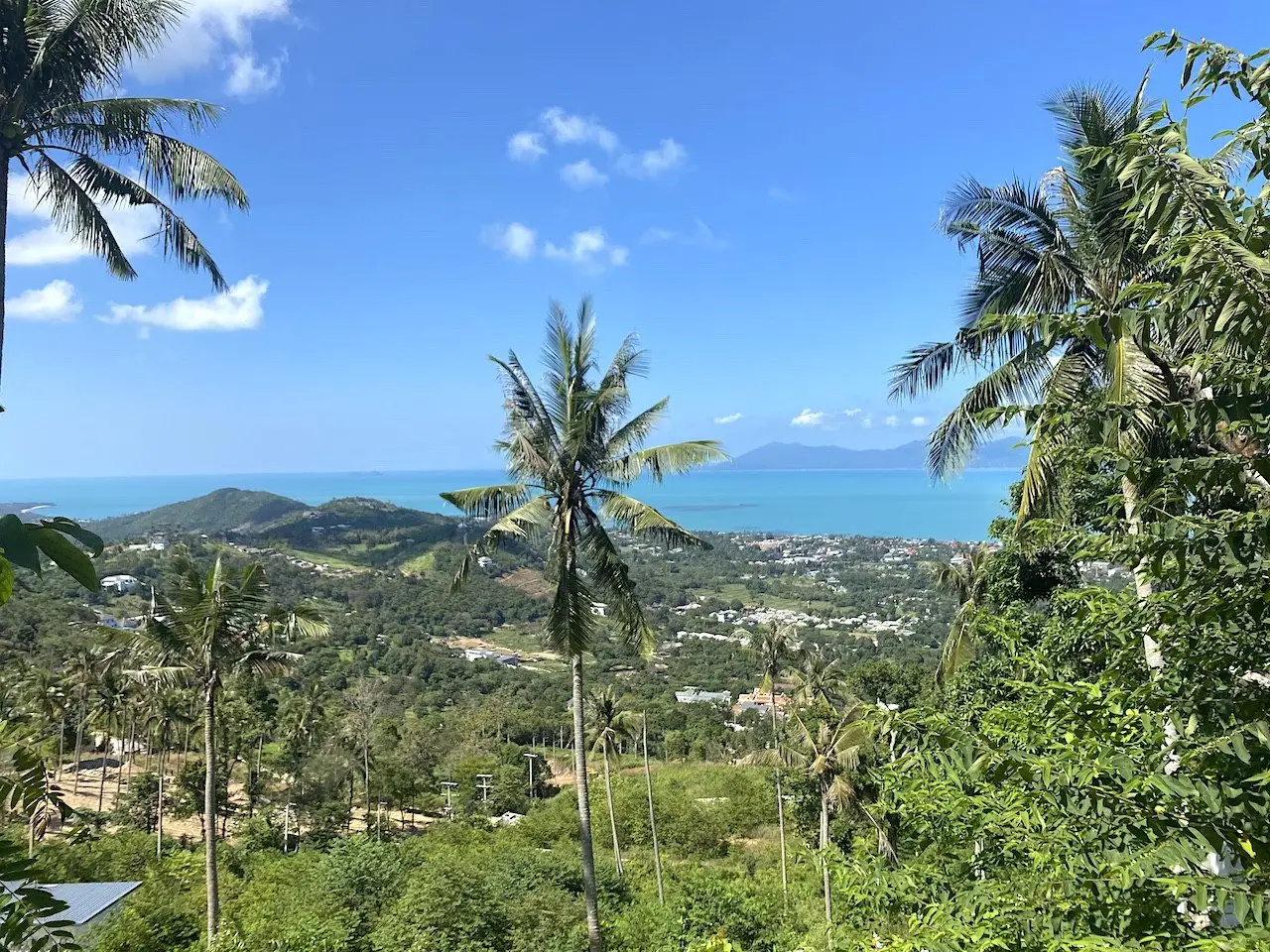 Land in Ko Samui, Thailand 1600 sq.m. — photo 7