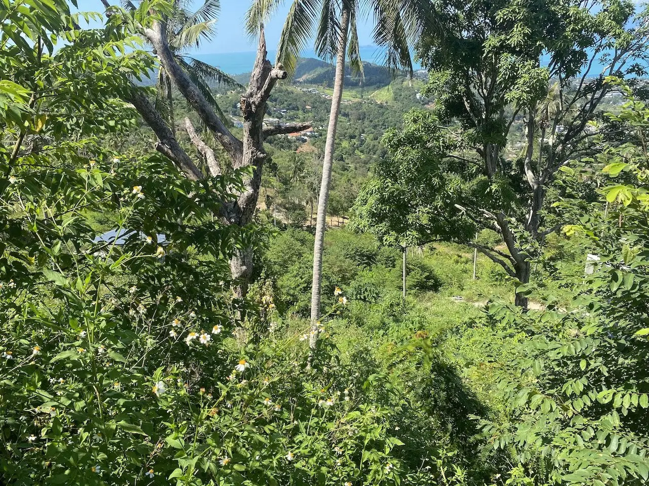 Land in Ko Samui, Thailand 1600 sq.m. — photo 9