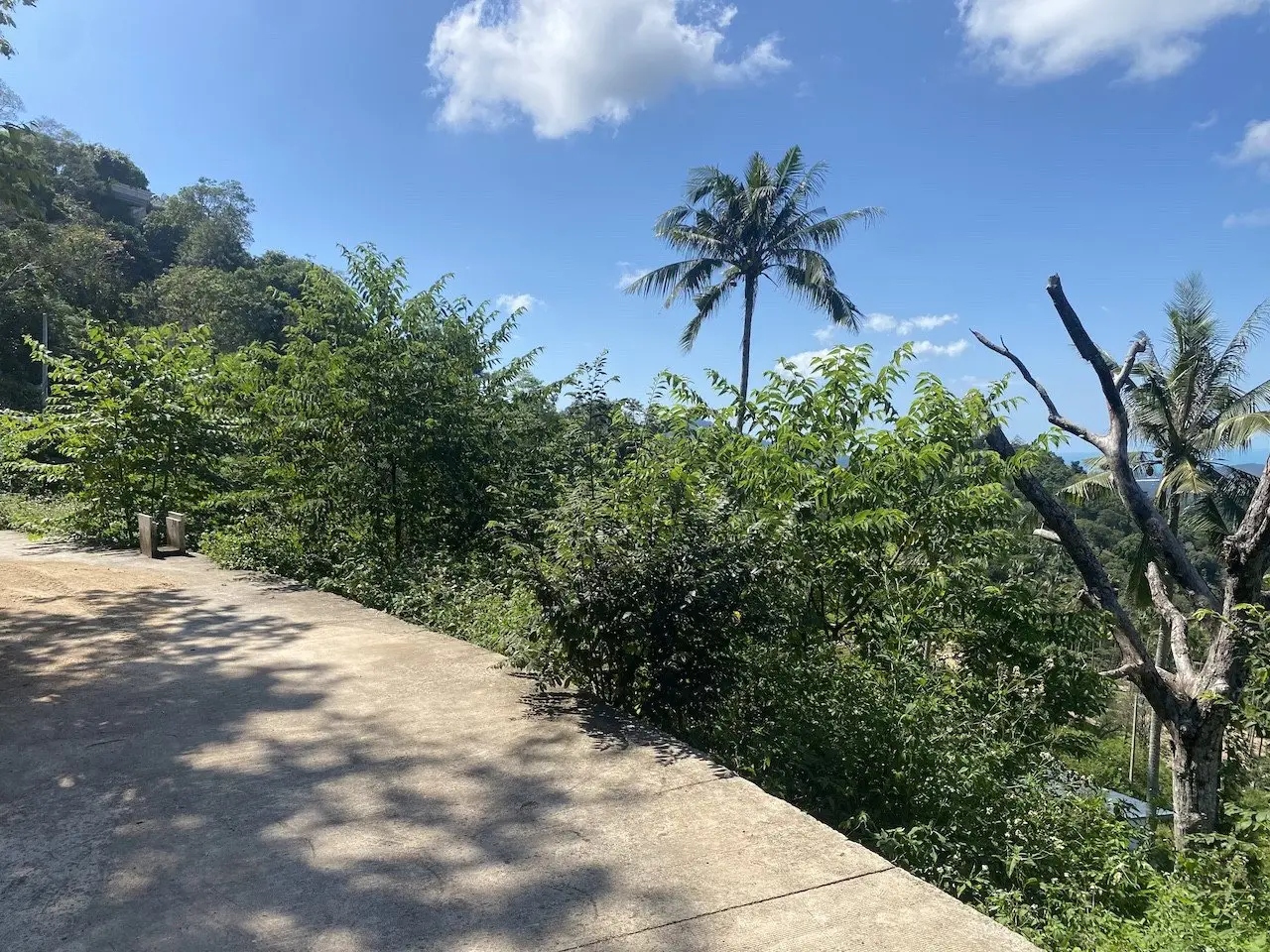 Land in Ko Samui, Thailand 1600 sq.m. — photo 3