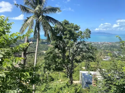 Land in Ko Samui, Thailand 1600 sq.m. — photo 5