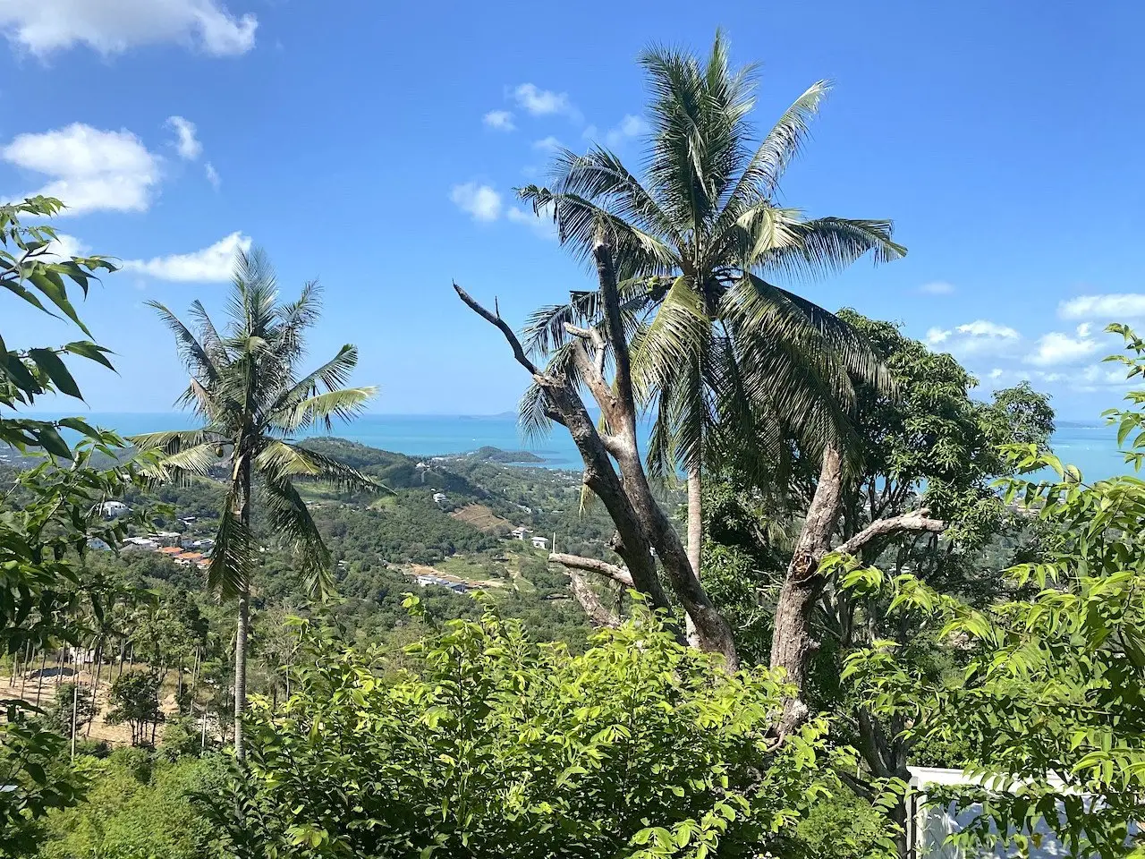 Land in Ko Samui, Thailand 1600 sq.m. — photo 6