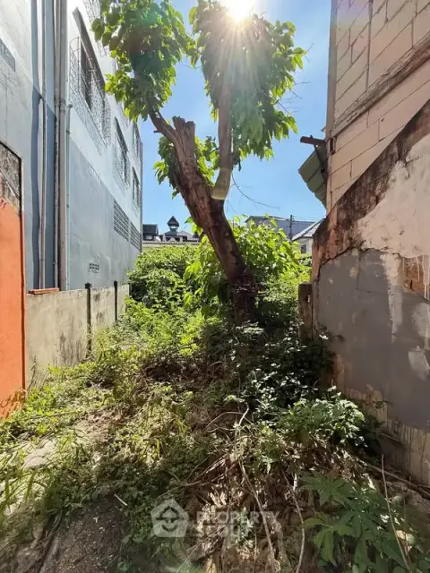 1-BR House close to Tha Phae Walking Street — ภาพ 3