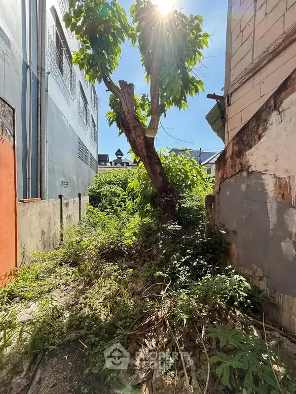 1-BR House close to Tha Phae Walking Street — ภาพ 3