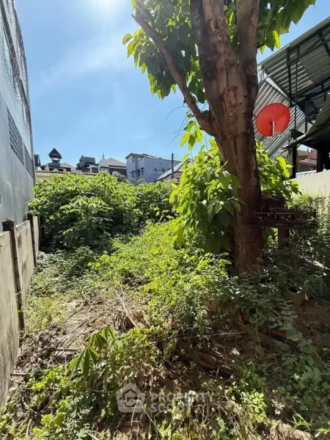 1-BR House close to Tha Phae Walking Street — ภาพ 4