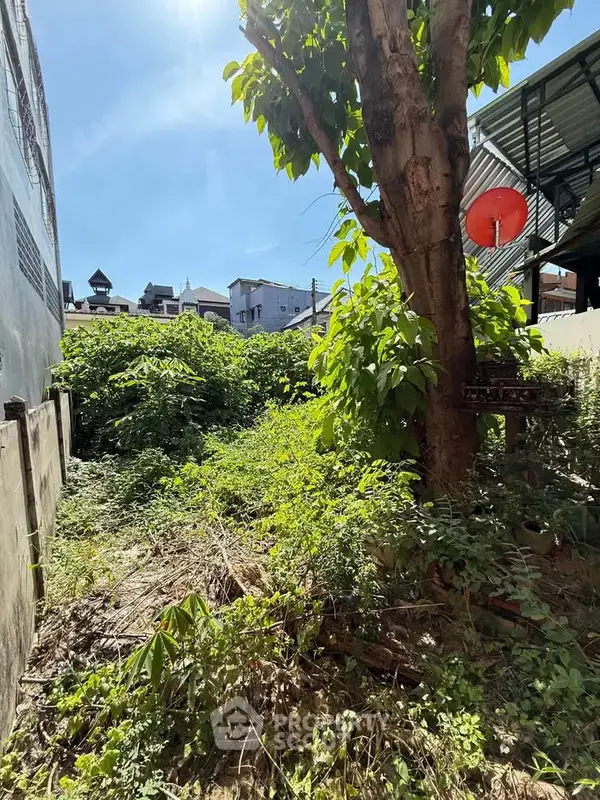 1-BR House close to Tha Phae Walking Street — ภาพ 4