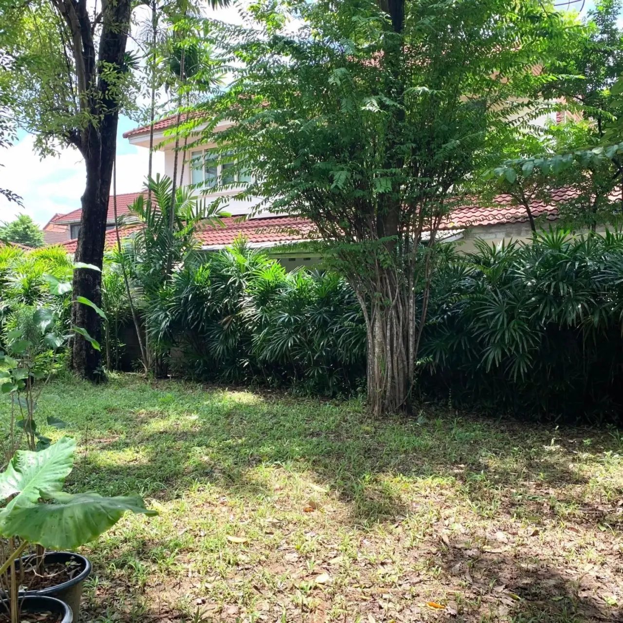 House in Saphan Sung, Bangkok, Thailand 4 bedrooms — photo 6