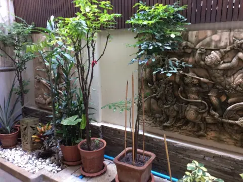 Townhouse in Bangkok, Thailand 4 bedrooms — photo 3