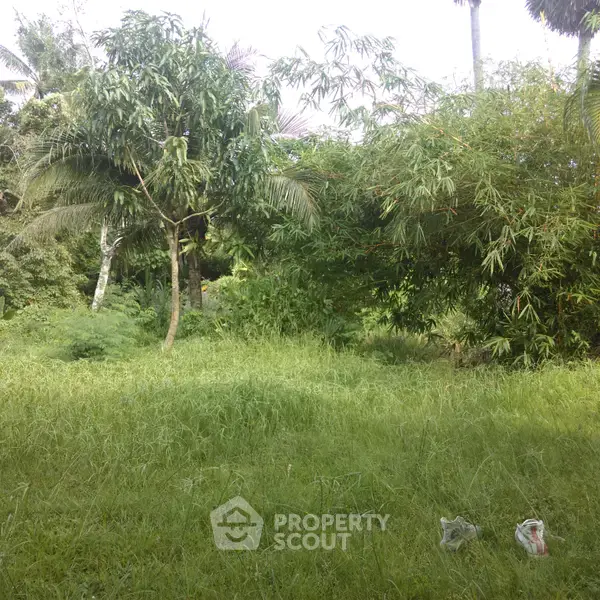 1-BR House in Rawai — photo 3