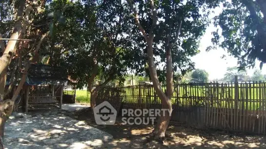 2-BR House in Pa Daet — photo 5