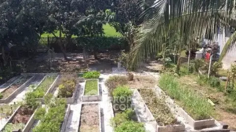 2-BR House in Pa Daet — photo 4