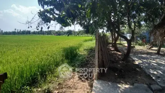 2-BR House in Pa Daet — photo 6
