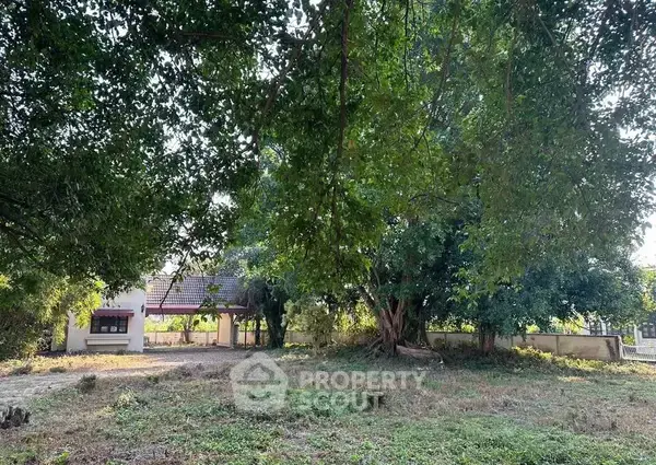 3-BR House in Pa Daet — photo 2