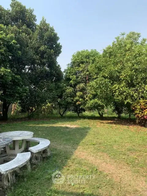 3-BR House in Pa Phai — 照片 4