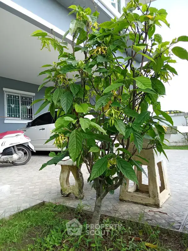 3-BR House in Ton Pao — ภาพ 4