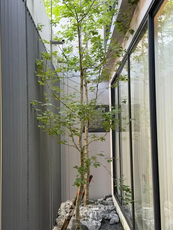 5-BR House at Chiang Mai Flora Ville in Talat Khwan — photo 6