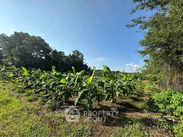 6,540 m² Land for Sale close to The Royal Chiangmai Golf Club — фото 7