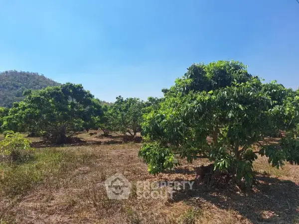 17,460 m² Land for Sale in Pa Phai — фото 6