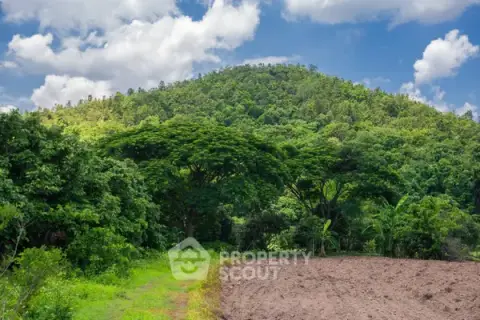 17,460 m² Land for Sale in Pa Phai — фото 3