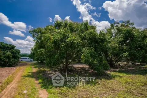 17,460 m² Land for Sale in Pa Phai — фото 5
