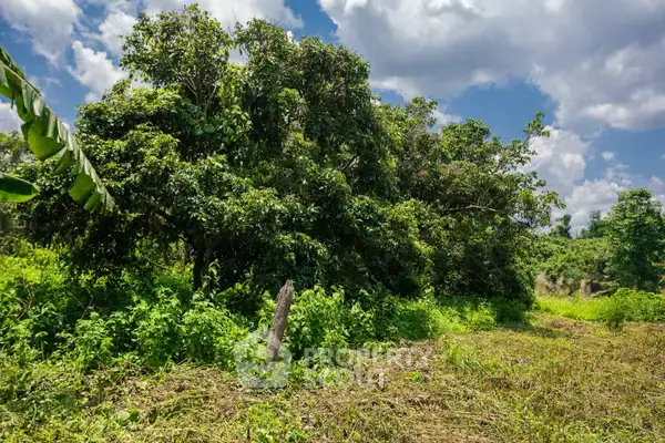 17,460 m² Land for Sale in Pa Phai — фото 7