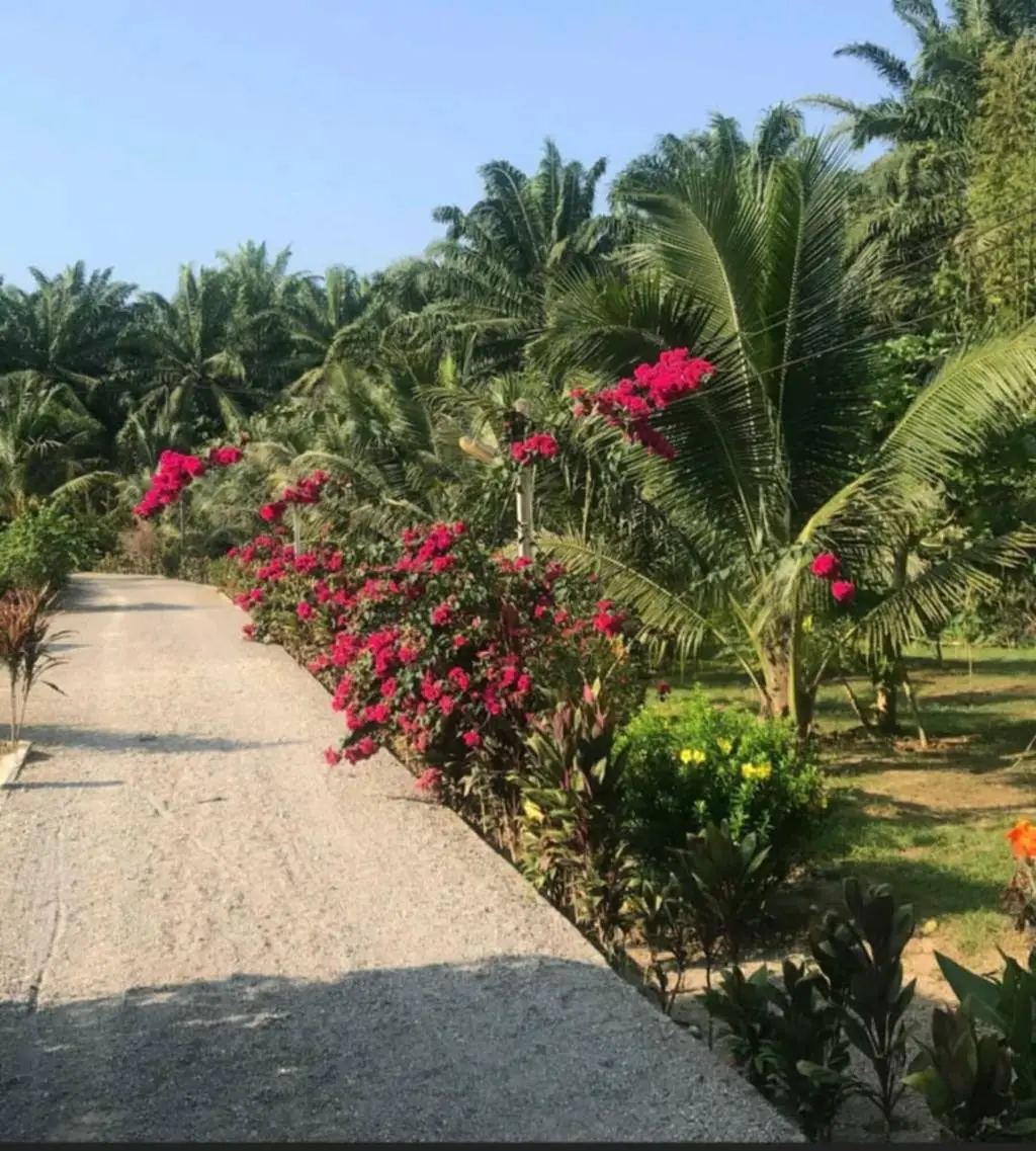 House in Krabi, Thailand 2 bedrooms — ภาพ 3