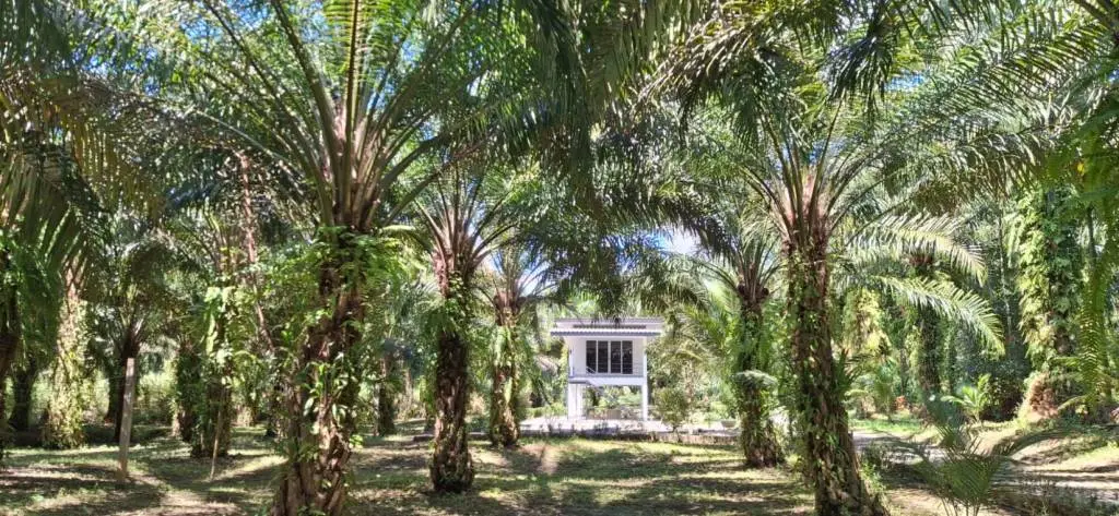 House in Krabi, Thailand 2 bedrooms — ภาพ 9