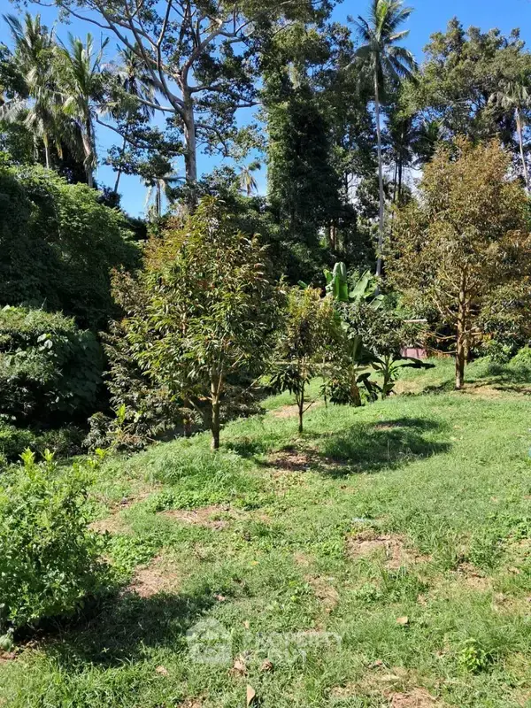 8,000 m² Land for Sale in Maenam — ภาพ 4