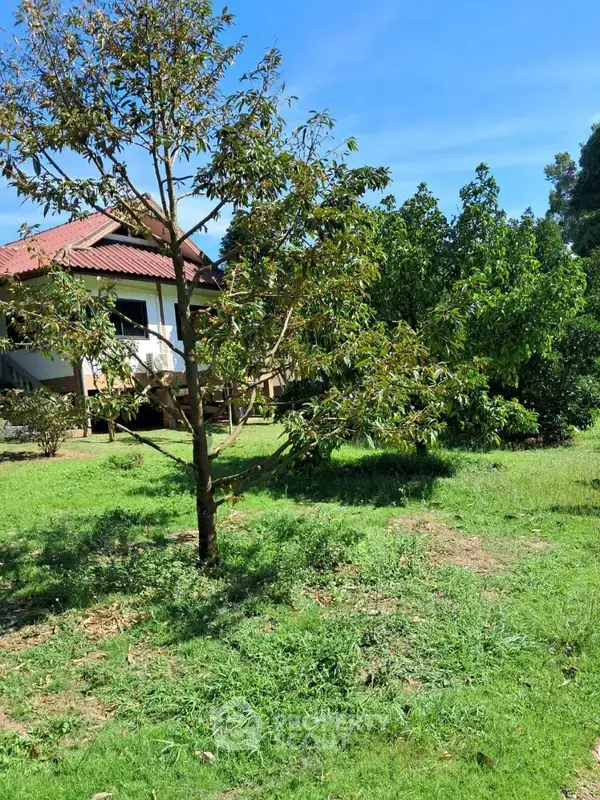 8,000 m² Land for Sale in Maenam — ภาพ 7