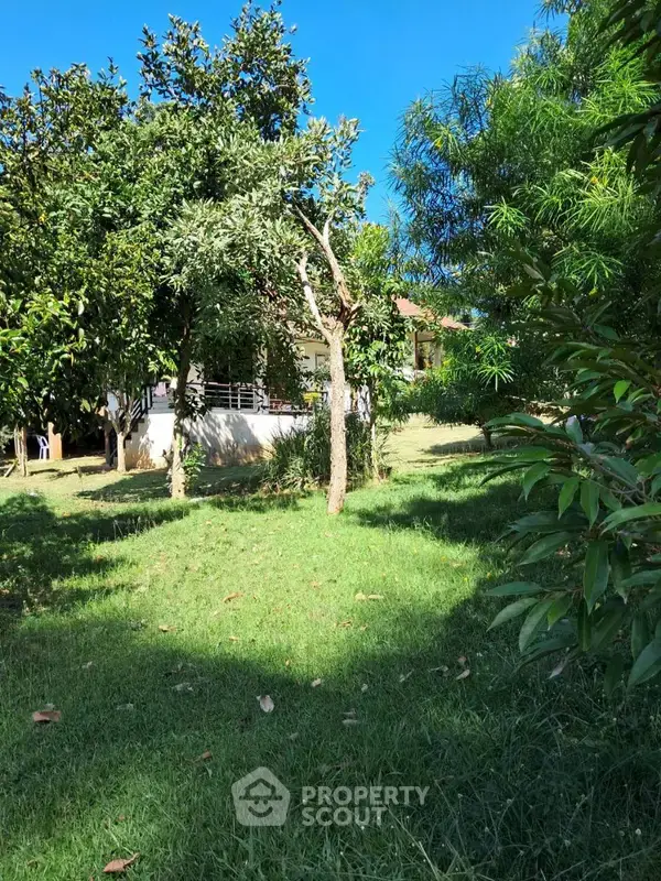 8,000 m² Land for Sale in Maenam — ภาพ 6