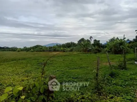 1-BR House close to Chiang Mai Old City — photo 4