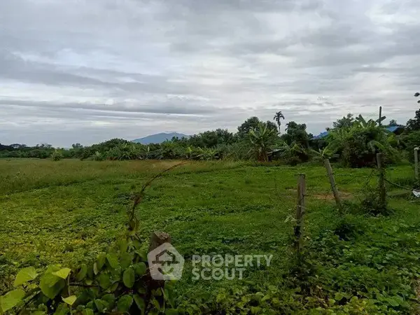 1-BR House close to Chiang Mai Old City — photo 4