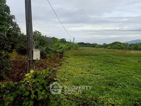 1-BR House close to Chiang Mai Old City — photo 5