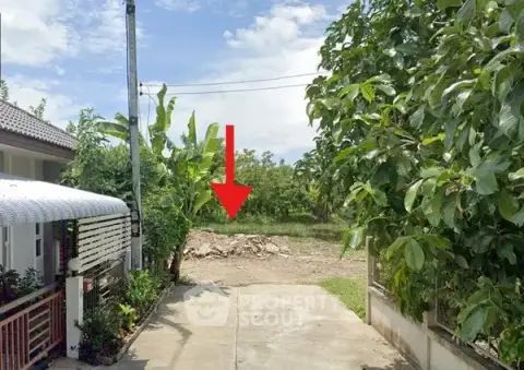 1-BR House in Chang Khlan — photo 5